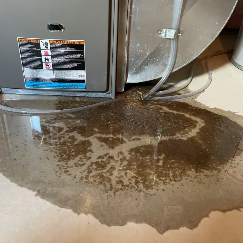 Appliance Leak Cleanup in Franklin, TX