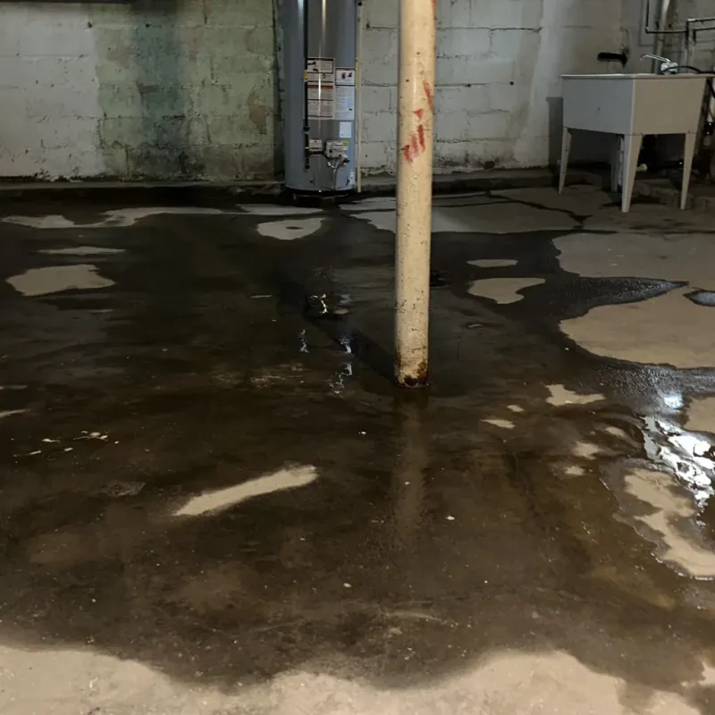 Emergency Water Extraction And Removal in Franklin, TX